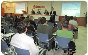 miniatura-101